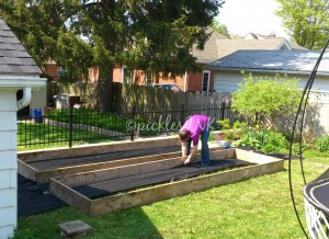 Raised bed gardens - super simple. 2x10 boards screwed together at the corners, weed barrier fabric, and triple mix soil. www.picklesINK.com