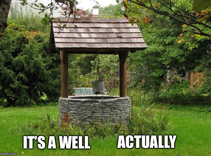 Meme: Photo of a stone well with wooden roof; text overlaid reads "It's a well actually."